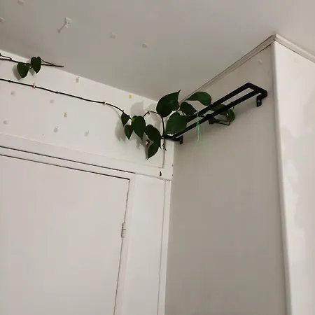 Elegant Apartment *